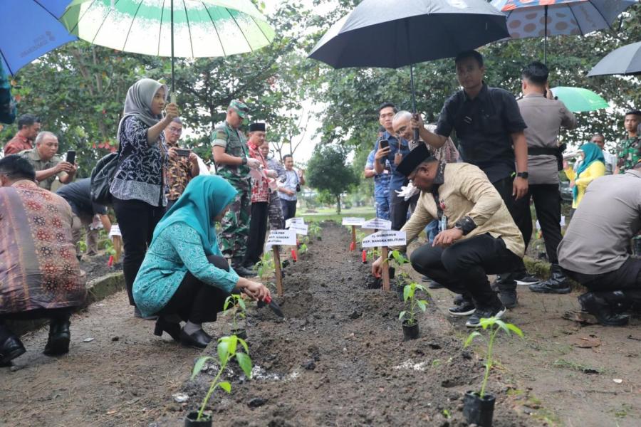 Penjabat TP PKK Babel Safriati Safrizal Lakukan Penanaman Bibit Cabai Di Belitung Timur